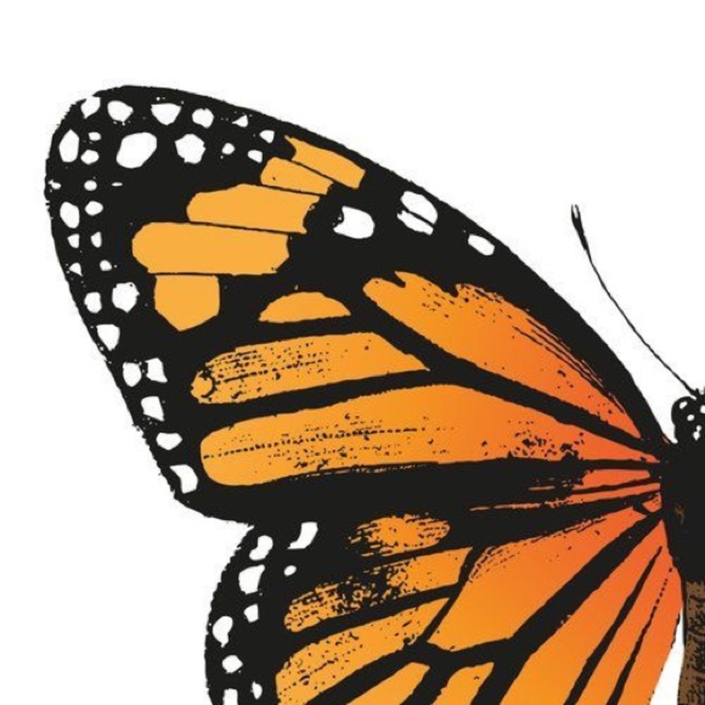 Meet your Posher, Ari